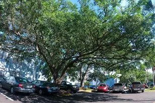 3916 Atrium Dr Dr, Orlando, FL 32822 - Photo 63