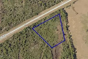 Deering Pkwy, Mims, FL 32754 - Photo 1