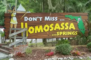 40 Grass St, Homosassa, FL 34446 - Photo 23