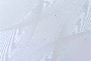 8201 Fort Thomas Wy, Orlando, FL 32822 - Photo 39