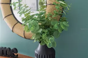 8981 Amelia Downs Trail, Kissimmee, FL 34747 - Photo 9