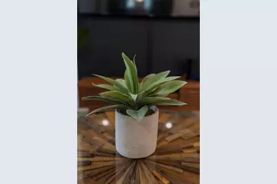 8981 Amelia Downs Trail, Kissimmee, FL 34747 - Photo 27