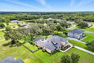 4615 Claire Rose Ct, Mount Dora, FL 32757 - Photo 67