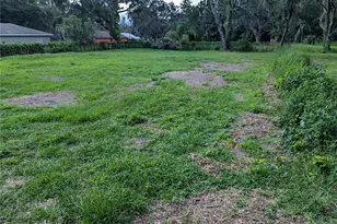 00 Kirkland Park St, Mulberry, FL 33860 - Photo 1