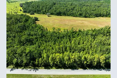 Deen Still Road, Polk City, FL 33868 - Photo 3