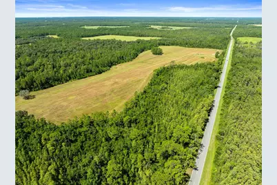 Deen Still Road, Polk City, FL 33868 - Photo 9