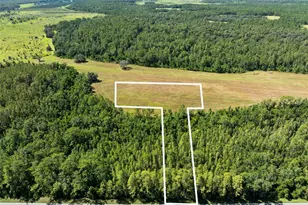 Deen Still Rd, Polk City, FL 33868 - Photo 1