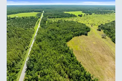 Deen Still Road, Polk City, FL 33868 - Photo 5