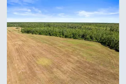 Deen Still Road, Polk City, FL 33868 - Photo 7