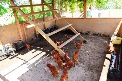 1321 Bluff Hammock Road, Lorida, FL 33857 - Photo 35