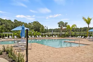 1000 Peach Crk Dr, Osteen, FL 32764 - Photo 29