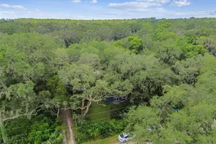 1317 Carl St, Inverness, FL 34453 - Photo 17