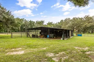 32530 Senese Rd, Sorrento, FL 32776 - Photo 29