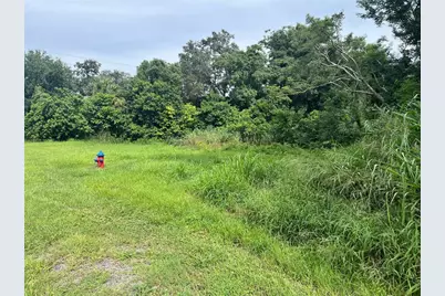 E Cleveland Street E, Apopka, FL 32703 - Photo 5