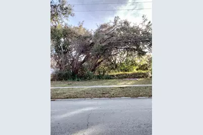 Sheeler Oaks Drive, Apopka, FL 32703 - Photo 3