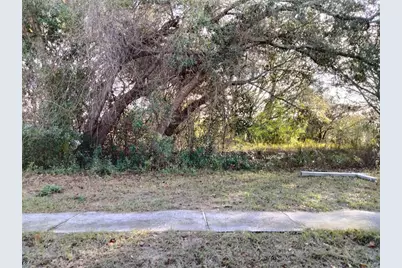 Sheeler Oaks Drive, Apopka, FL 32703 - Photo 1