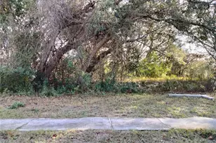 Sheeler Oaks Dr, Apopka, FL 32703 - Photo 1