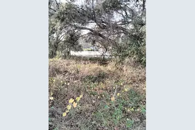 Sheeler Oaks Drive, Apopka, FL 32703 - Photo 5