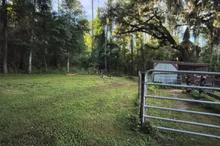 24050 Winding Creek Dr, Brooksville, FL 34601 - Photo 11