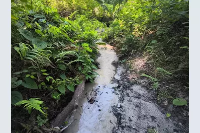 24050 Winding Creek Drive, Brooksville, FL 34601 - Photo 35