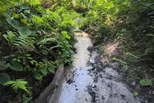 24050 Winding Creek Dr, Brooksville, FL 34601 - Photo 35