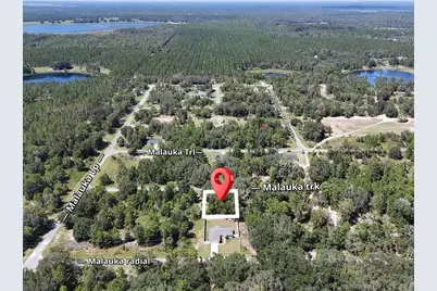 Malauka Track, Ocklawaha, FL 32179 - Photo 5
