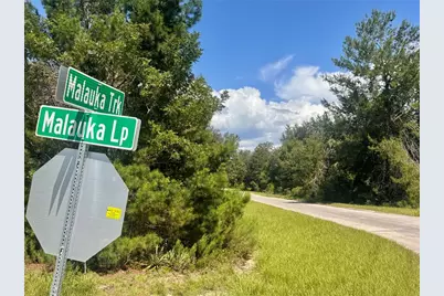 Malauka Track, Ocklawaha, FL 32179 - Photo 9