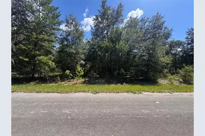 Malauka Track, Ocklawaha, FL 32179 - Photo 7