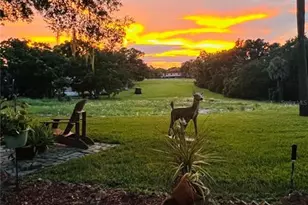 1786 Cranberry Isles Way, Apopka, FL 32712 - Photo 35