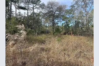 27539 Monte Cristo Boulevard, Punta Gorda, FL 33955 - Photo 5