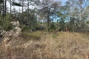 27539 Monte Cristo Blvd, Punta Gorda, FL 33955 - Photo 5