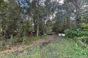 18608 Seaford Ave, Orlando, FL 32820 - Photo 31