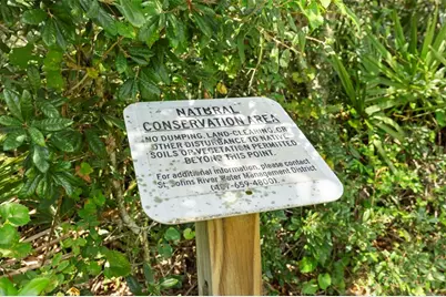 3903 Winged Elm Court, Clermont, FL 34714 - Photo 9