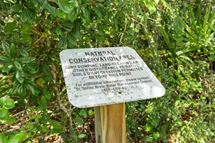 3903 Winged Elm Ct, Clermont, FL 34714 - Photo 9