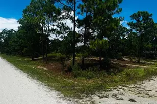 486 Dreamland Dr, Lake Placid, FL 33852 - Photo 1