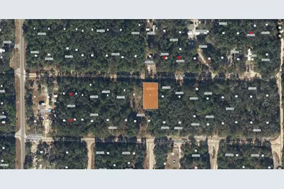 117 Sumac Street, Interlachen, FL 32148 - Photo 19