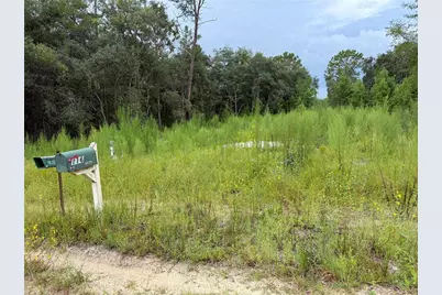 117 Sumac Street, Interlachen, FL 32148 - Photo 1