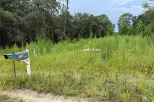 117 Sumac St, Interlachen, FL 32148 - Photo 1