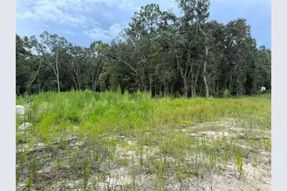 106 Jackson Avenue, Interlachen, FL 32148 - Photo 3