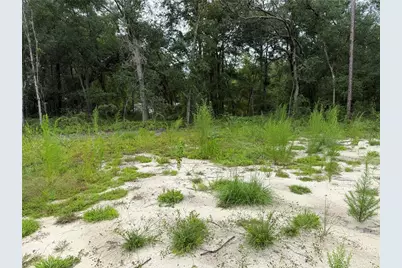 106 Jackson Avenue, Interlachen, FL 32148 - Photo 9