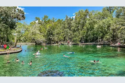 2528 Long Pine Avenue, Apopka, FL 32712 - Photo 19