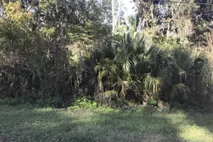 Lot 13, Lake Panasoffkee, FL 33538 - Photo 1