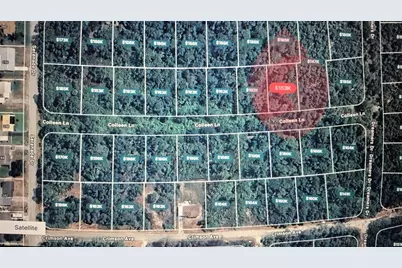 228 Colleen Lane, Lake Placid, FL 33852 - Photo 1