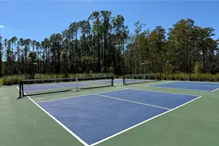 14415 Crest Palm Ave, Windermere, FL 34786 - Photo 53