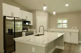 194 Malauka Run, Ocklawaha, FL 32179 - Photo 3