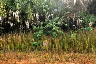 Sernice St, North Port, FL 34288 - Photo 1