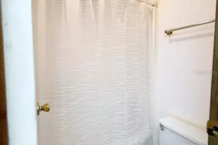 33248 Ridge Manor Blvd, Dade City, FL 33523 - Photo 7