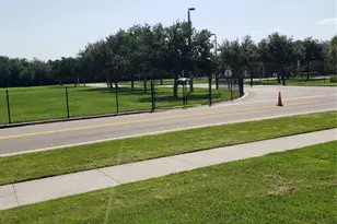 2020 Leather Fern Dr, Ocoee, FL 34761 - Photo 53