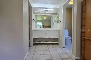 777 Robin Ave, Palm Harbor, FL 34683 - Photo 19