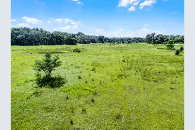 7466 Vivian Lane, Orlando, FL 32818 - Photo 3